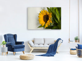3-piece-canvas-print-beautiful-sunflower