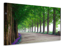 3-piece-canvas-print-beautiful-tree-avenue