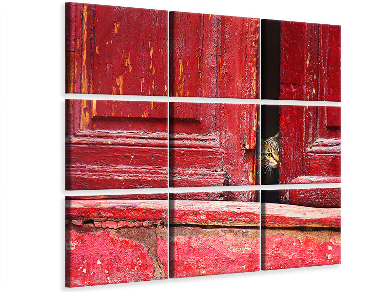 canvas-print-behind-the-scene