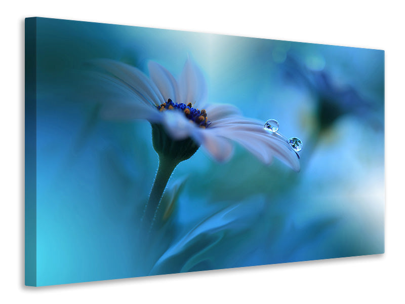 panoramic-3-piece-canvas-print-beyond-the-visible