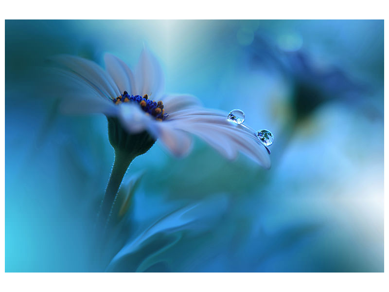 panoramic-canvas-print-beyond-the-visible