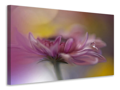 3-piece-canvas-print-beyond-words