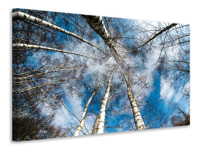 modern-3-piece-canvas-print-birch-crowns