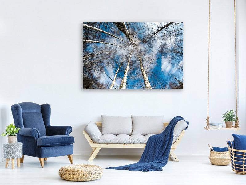 modern-4-piece-canvas-print-birch-crowns