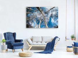 3-piece-canvas-print-birch-crowns