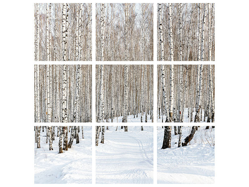 canvas-print-birch-forest-tracks-in-snow