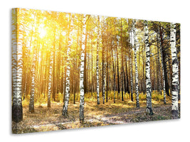 4-piece-canvas-print-birch-forest