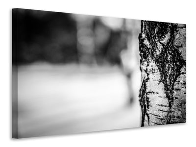 3-piece-canvas-print-birch-trunk