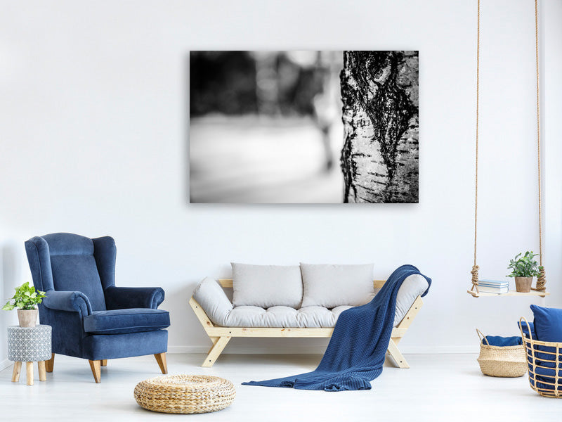 modern-3-piece-canvas-print-birch-trunk