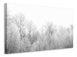 5-piece-canvas-print-birches-in-the-snow