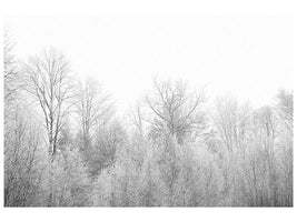 4-piece-canvas-print-birches-in-the-snow