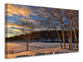 3-piece-canvas-print-birches-in-the-winter
