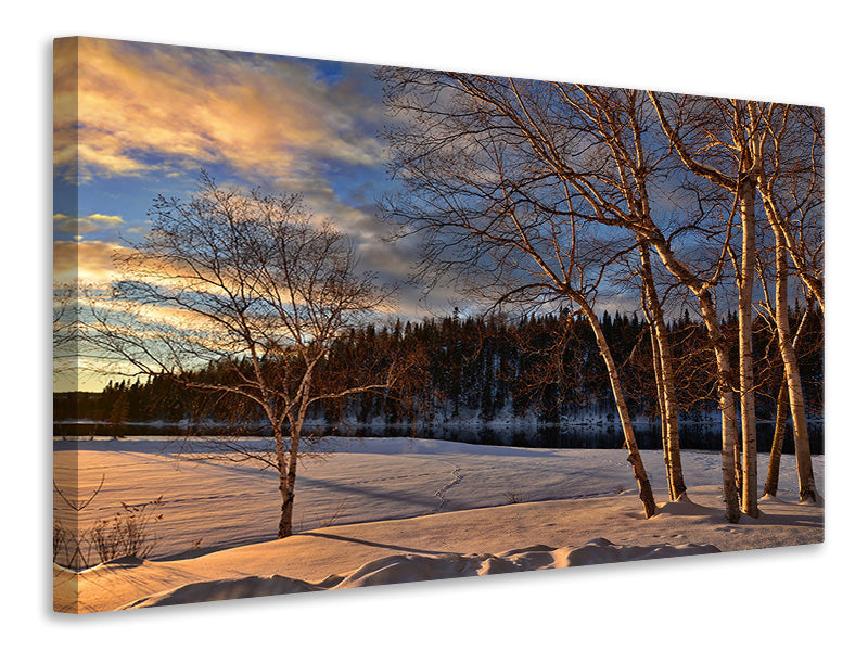 3-piece-canvas-print-birches-in-the-winter