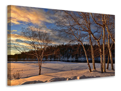 3-piece-canvas-print-birches-in-the-winter