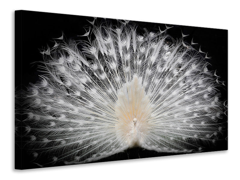 4-piece-canvas-print-black-and-white-v