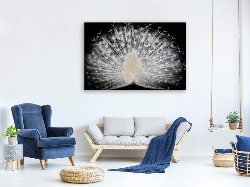 5-piece-canvas-print-black-and-white-v