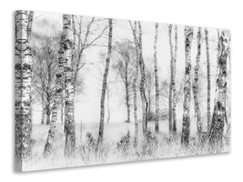 panoramic-3-piece-canvas-print-black-and-white