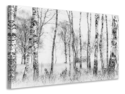 5-piece-canvas-print-black-and-white