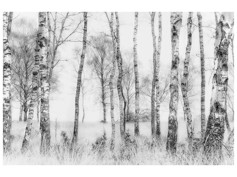 modern-3-piece-canvas-print-black-and-white