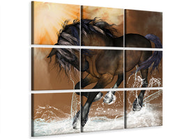 canvas-print-black-beauty