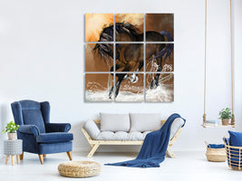 canvas-print-black-beauty