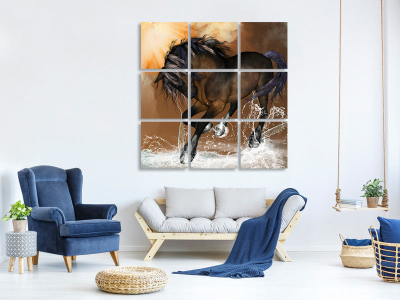 canvas-print-black-beauty