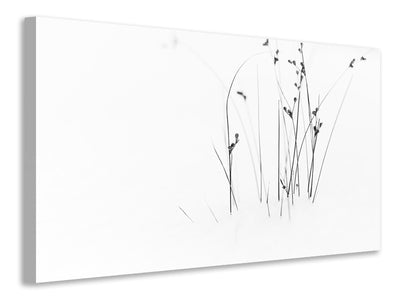 panoramic-canvas-print-black-on-white