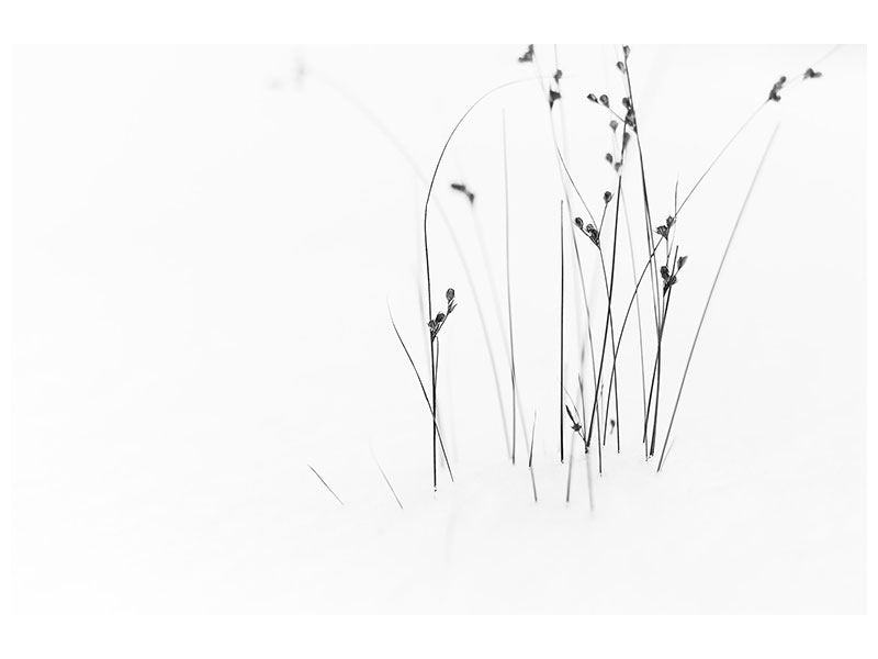 modern-4-piece-canvas-print-black-on-white