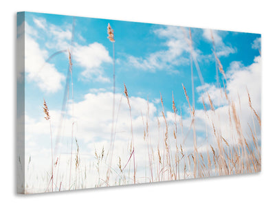3-piece-canvas-print-blades-of-grass-in-the-sky