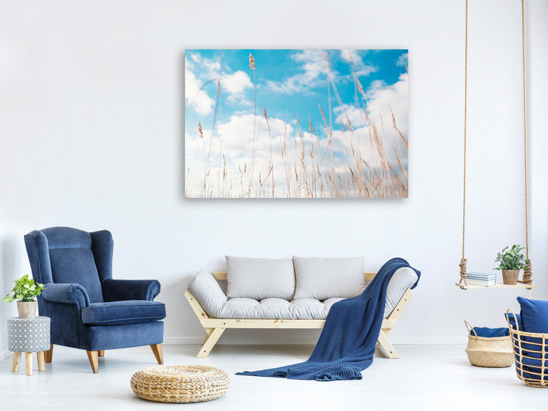 5-piece-canvas-print-blades-of-grass-in-the-sky
