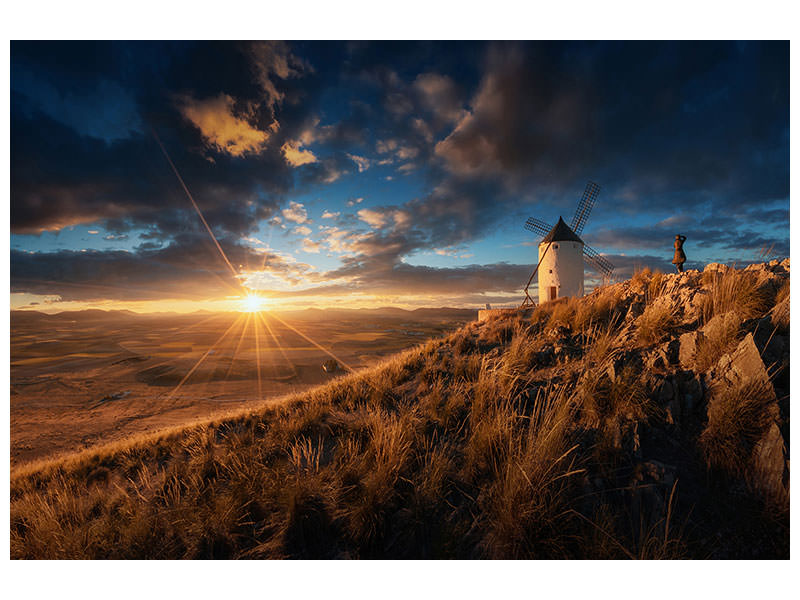 4-piece-canvas-print-blancos-contra-el-sol