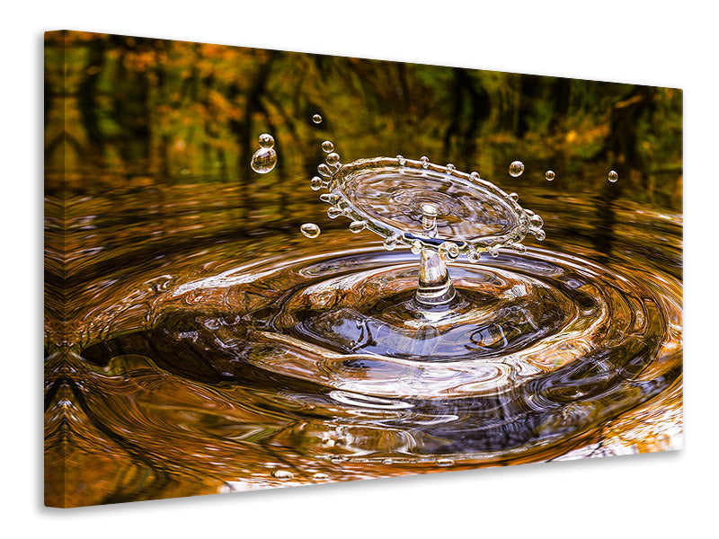4-piece-canvas-print-blubb