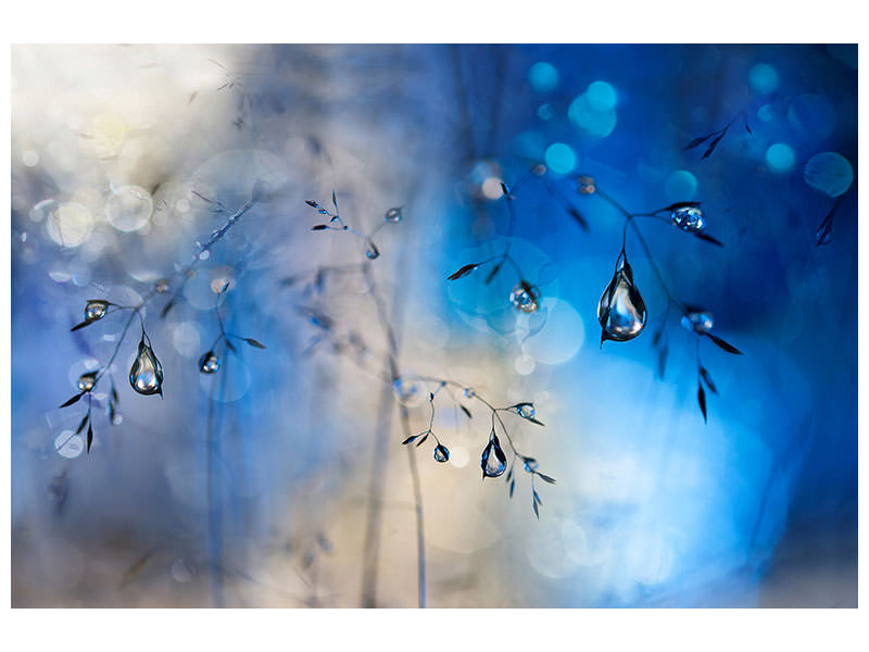 panoramic-canvas-print-blue-rain