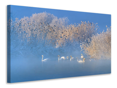 3-piece-canvas-print-blue-swan-lake