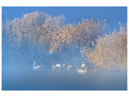 modern-4-piece-canvas-print-blue-swan-lake