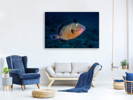 modern-3-piece-canvas-print-blue-triggerfish