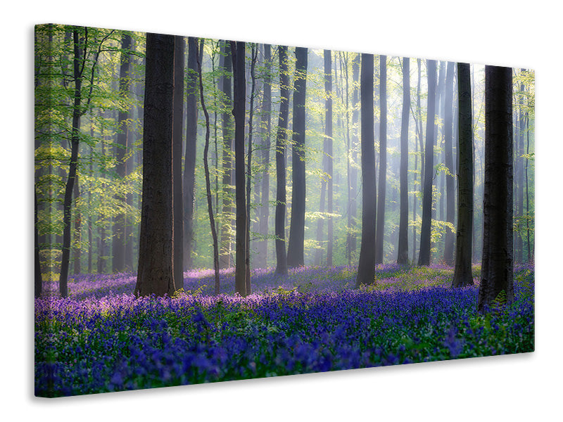 4-piece-canvas-print-bluebells