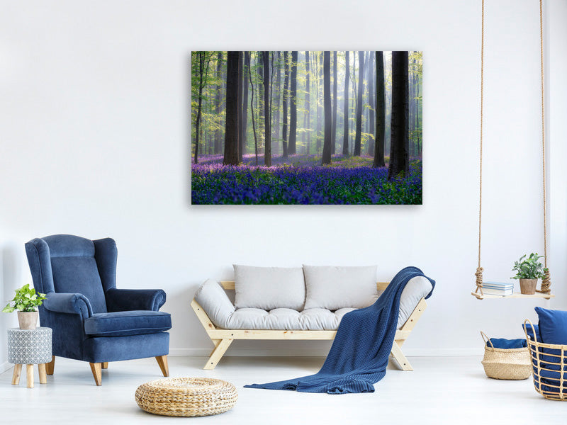 3-piece-canvas-print-bluebells