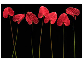 3-piece-canvas-print-botanical-hearts