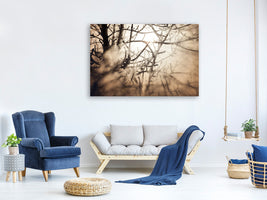 panoramic-canvas-print-branches-in-fog-light