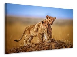 3-piece-canvas-print-brothers-for-life