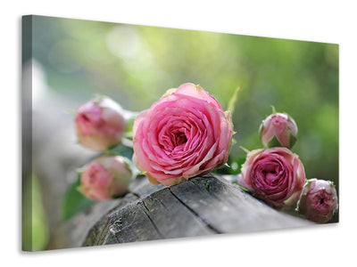 modern-4-piece-canvas-print-bush-roses