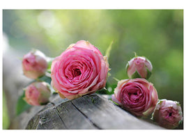 5-piece-canvas-print-bush-roses