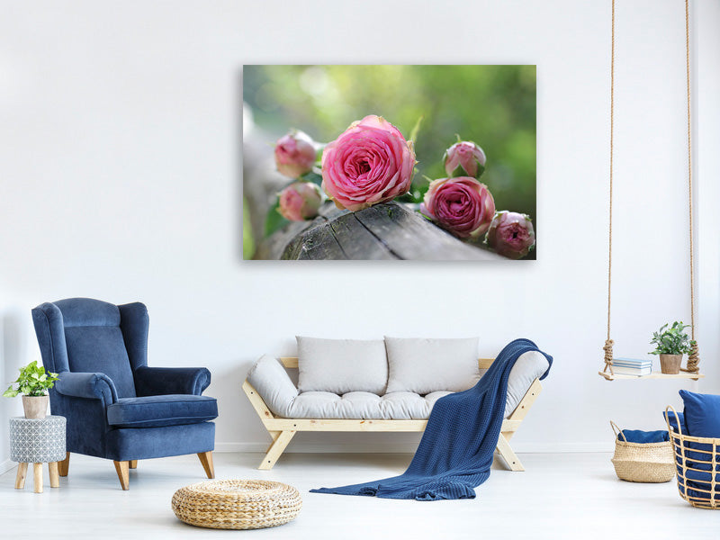 5-piece-canvas-print-bush-roses