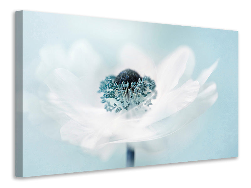 panoramic-3-piece-canvas-print-candy-floss