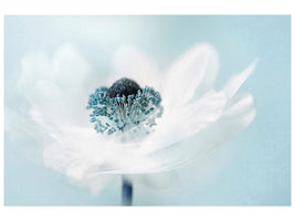 panoramic-canvas-print-candy-floss
