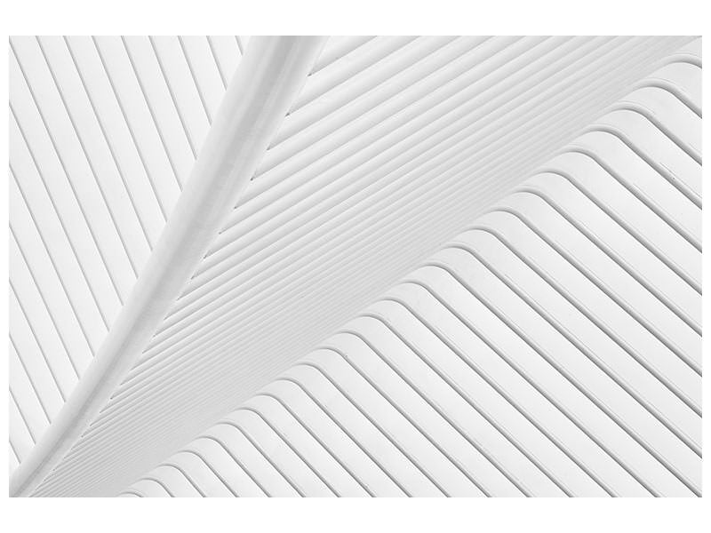 panoramic-3-piece-canvas-print-canopy