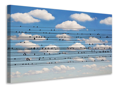 3-piece-canvas-print-cantus-arcticus-concerto-for-birds
