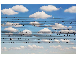 3-piece-canvas-print-cantus-arcticus-concerto-for-birds