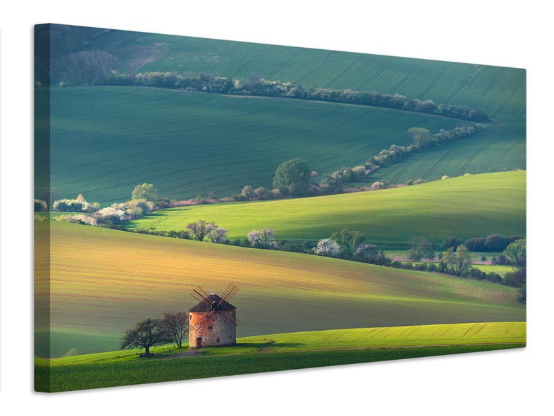 canvas-print-about-forms-a-lines-x